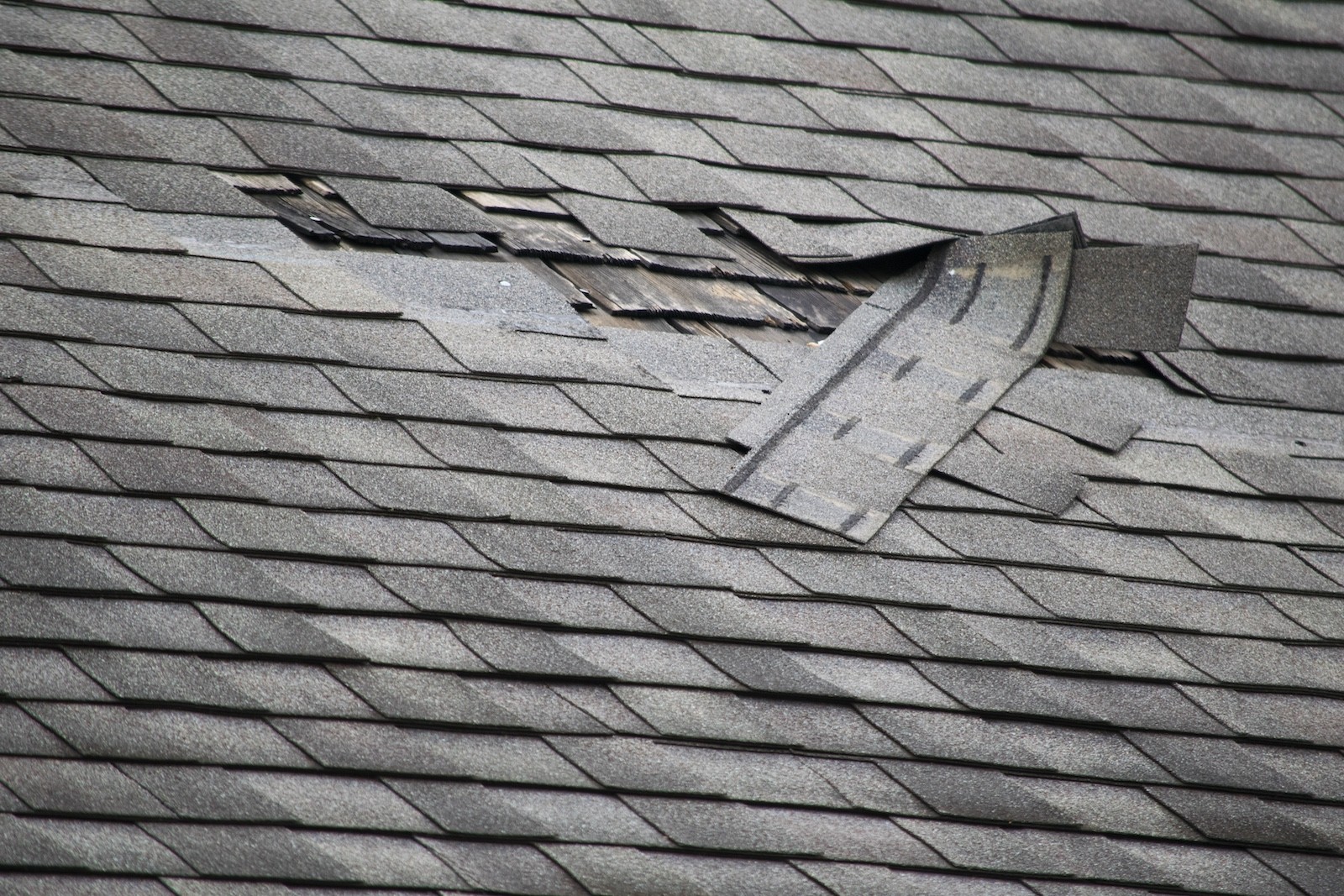 Wind damage showing missing shingles